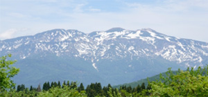 石川県の豊かな環境