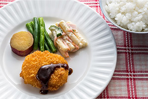 MFSタンパク調整食のイメージ