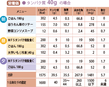 たんぱく質40gの栄養価